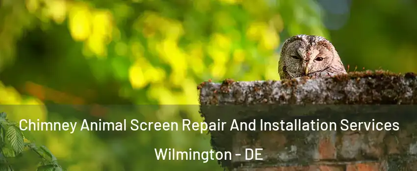  Chimney Animal Screen Repair And Installation Services Wilmington - DE