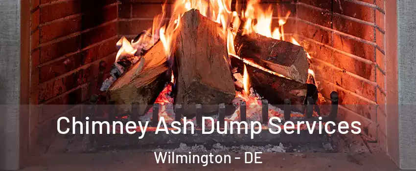  Chimney Ash Dump Services Wilmington - DE