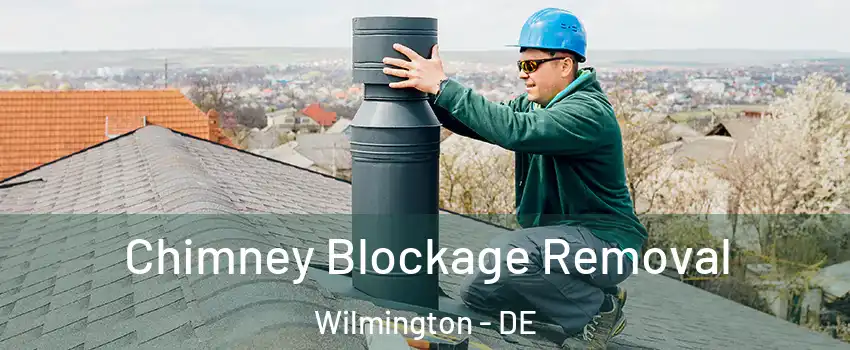  Chimney Blockage Removal Wilmington - DE