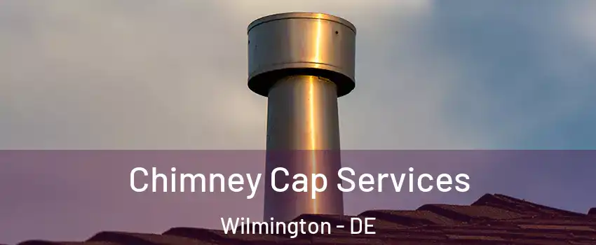  Chimney Cap Services Wilmington - DE