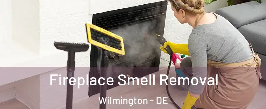 Fireplace Smell Removal Wilmington - DE