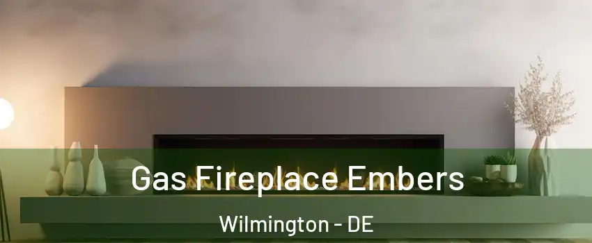  Gas Fireplace Embers Wilmington - DE