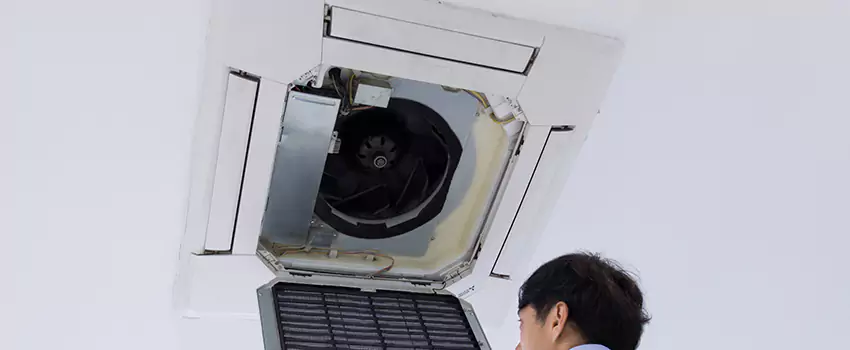 Benefits of Professional Air Duct Cleaning in Wilmington, Delaware