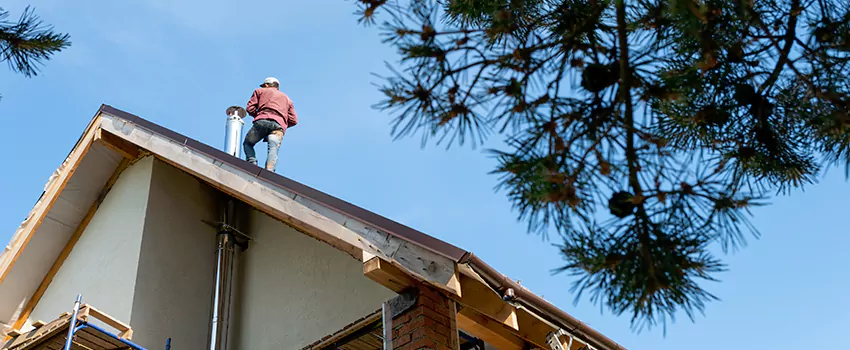 Birds Removal Contractors from Chimney in Wilmington, DE