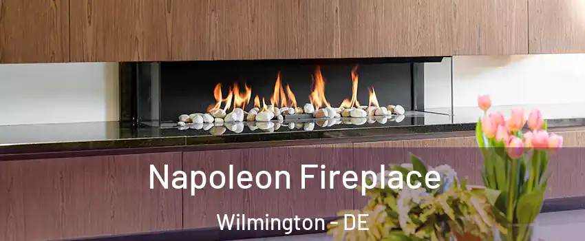  Napoleon Fireplace Wilmington - DE