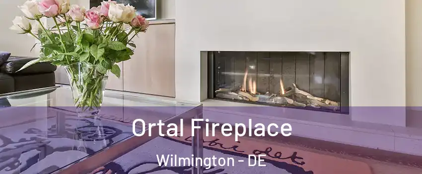  Ortal Fireplace Wilmington - DE
